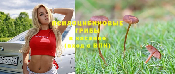таблы Алзамай