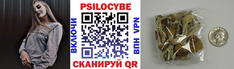 Галлюциногенные грибы Psilocybe  KRAKEN ссылки  Лесосибирск 